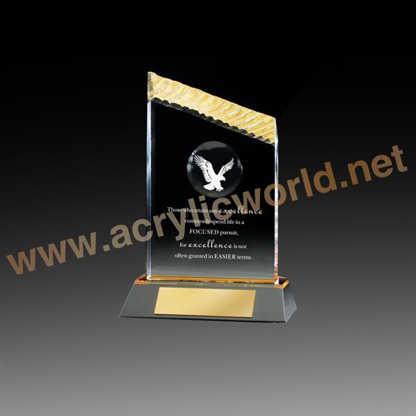 custom made acrylic trophy award